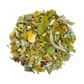 Infusion DETOX  - Nettoyage