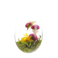 Fleur de Thé FLEUR DE FRAISE - Unité