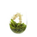 Fleur de Thé AMOUR DE JASMIN - Unité