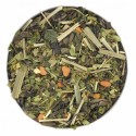 DETOX Perte de Poids