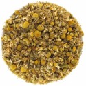 Matricaire (Camomille allemande)