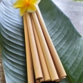 Paille en BAMBOU Biologique