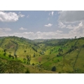 cafe-ethiopie-nyala-hauts-plateaux GRAIN